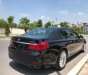 BMW 7 Series 750Li 2010 - Bán BMW 7 Series 750Li 2010, màu đen, nhập khẩu