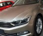 Volkswagen Passat Bluemotion 2017 - Bán xe Volkswagen Passat sedan phân khúc D xe Đức nhập khẩu chính hãng mới 100% giá rẻ. LH 0933 365 188