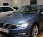 Volkswagen Passat  Bluemotion 2017 - Bán xe Volkswagen Passat Bluemotion sedan xe Đức nhập khẩu chính hãng mới 100% giá rẻ. LH ngay 0933 365 188