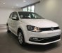 Volkswagen Polo 2017 - Bán xe Volkswagen Polo Hatchback xe Đức nhập khẩu nguyên chiếc mới 100% giá rẻ