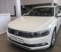 Volkswagen Passat 2017 - Bán xe Volkswagen Passat sedan phân khúc D xe Đức nhập khẩu chính hãng mới 100% giá rẻ