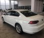 Volkswagen Passat 2017 - Bán xe Volkswagen Passat sedan phân khúc D xe Đức nhập khẩu chính hãng mới 100% giá rẻ