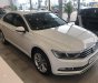 Volkswagen Passat 2017 - Bán xe Volkswagen Passat sedan phân khúc D xe Đức nhập khẩu chính hãng mới 100% giá rẻ