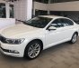 Volkswagen Passat 2017 - Bán xe Volkswagen Passat sedan phân khúc D xe Đức nhập khẩu chính hãng mới 100% giá rẻ