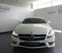 Mercedes-Benz CL class CLS350 2014 - Bán Mercedes-Benz CLS350 đã qua sử dụng, chính hãng tốt nhất