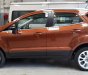 Ford EcoSport 1.0 Ecoboost Titanium+ 2018 - Bán ô tô Ford EcoSport 1.0 Ecoboost Titanium+ 2018, màu nâu, giá 689tr