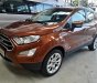 Ford EcoSport 1.0 Ecoboost Titanium+ 2018 - Bán ô tô Ford EcoSport 1.0 Ecoboost Titanium+ 2018, màu nâu, giá 689tr