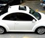 Volkswagen Beetle 2008 - Cần bán rẻ Siêu xe Volkswagen Beetle ĐK 2008, nhập khẩu. Chỉ 428tr