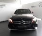 Mercedes-Benz Smart GLC 300 2018 - Bán Mercedes GLC 300 năm sản xuất 2018, màu đen