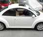 Volkswagen Beetle 2008 - Cần bán rẻ Siêu xe Volkswagen Beetle ĐK 2008, nhập khẩu. Chỉ 428tr