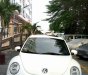 Volkswagen Beetle 2008 - Cần bán rẻ Siêu xe Volkswagen Beetle ĐK 2008, nhập khẩu. Chỉ 428tr