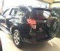 Toyota RAV4 Limited 2.5 AT FWD 2010 - Cần bán gấp Toyota RAV4 2.5 Limited đời 2010, màu đen, nhập khẩu