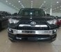 Toyota 4 Runner  Limited 2015 - Bán Toyota 4Runner Limited biển sx 2015, đk 2016, tư nhân xuất Mỹ