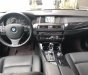 BMW 5 Series 520i 2015 - Bán xe BMW 5 Series đời 2015, màu đen, xe nhập