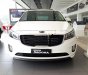 Kia VT250 DAT 2018 - Cần bán xe Kia Sedona DAT sản xuất 2018, màu trắng