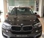 BMW X5 2017 - Bán BMW X5 xDrive35i tại Đắk Lắk