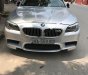 BMW 5 Series 523i 2010 - Cần bán xe BMW 5 Series 523i đời 2010, màu bạc, nhập khẩu