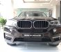 BMW X5 2017 - Bán BMW X5 xDrive35i tại Đắk Lắk