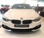 BMW 4 Series 2017 - Bán ô tô BMW 4 Series 2017, màu trắng, nhập khẩu- 0901214555