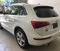 Audi Q5 2.0T 2010 - Bán Audi Q5 2.0T năm 2010, màu trắng, nhập khẩu  