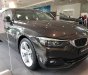 BMW 4 Series 2017 - Cần bán BMW 4 Series đời 2017, màu xám, xe nhập- 0901214555