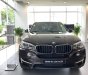 BMW X5 2017 - Bán ô tô BMW X5 sản xuất 2017 màu nâu, 3 tỷ 599 triệu, xe nhập - 0901214555