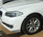 BMW 5 Series 520i 2013 - Bán ô tô BMW 5 Series 520i sản xuất năm 2013, màu trắng, nhập khẩu nguyên chiếc số tự động