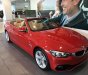 BMW 4 Series 430i Convertible 2017 - Bán xe BMW 4 Series 430i Convertible đời 2017, màu đỏ, nhập khẩu