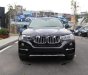 BMW X4 xDriver20i 2017 - Cần bán BMW X4 xDriver20i đời 2017, màu đen, xe nhập, giá tốt