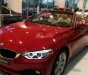 BMW 4 Series 2018 - Bán ô tô BMW 420i Cab (mui trần), giá tốt xe giao ngay, giao toàn quốc đời 2018, màu đỏ, nhập khẩu nguyên chiếc