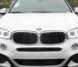 BMW X6 2017 - Cần bán BMW X6 năm sản xuất 2017, màu trắng, nhập khẩu