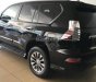 Lexus GX 460 Luxury  2018 - Bán Lexus GX460 Mỹ Luxury sản xuất 2018, mới 100%, giao ngay