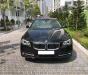 BMW 5 Series 520i  2015 - Bán BMW 5 Series 520i sản xuất 2015, màu đen, nhập khẩu nguyên chiếc