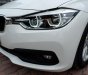 BMW 3 Series 320i 2015 - Bán ô tô BMW 3 Series 320i sản xuất năm 2015, xe nhập