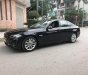 BMW 5 Series 520i 2015 - Bán ô tô BMW 5 Series 520i đời 2015, màu đen, nhập khẩu đẹp như mới