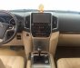 Toyota Land Cruiser   VX 4.6 V8  AT  2016 - Cần bán xe Toyota Land Cruiser VX 4.6 V8 AT 2016, như xe mới giao hãng, sơn zin 100%, lốp sơ cua chưa hạ