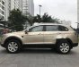 Chevrolet Captiva   LTZ  2010 - Bán xe Chevrolet Captiva LTZ 2010, 435 triệu