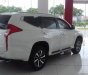 Mitsubishi Pajero 2018 - Bán xe Mitsubishi Pajero sản xuất 2018, màu trắng, nhập khẩu