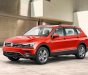 Volkswagen Tiguan 2018 - Cần bán Volkswagen Tiguan sản xuất 2018, nhập khẩu