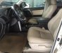 Toyota Prado GX 2.7 AT 2009 - Bán Toyota Prado GX 2.7 AT năm sản xuất 2009, màu vàng, nhập khẩu nguyên chiếc