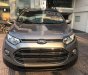 Ford EcoSport 2017 - Cần bán gấp Ford EcoSport năm sản xuất 2017 chính chủ