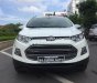 Ford EcoSport Titanium 2015 - Bán ô tô Ford EcoSport Titanium đời 2015, màu trắng số tự động