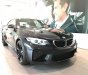 BMW M Couper 2017 - Bán BMW M Couper 2017, màu đen, nhập khẩu nguyên chiếc