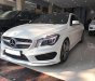 Mercedes-Benz CLA class CLA 250 4Matic 2015 - Bán Mercedes CLA 250 4Matic đời 2015, màu trắng, nhập khẩu