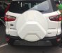 Ford EcoSport 1.5 Dragon Titanium 2018 - Bán Ford Ecosport 1.5 Dragon Titanium 2018, giá tốt nhất, tặng bảo hiểm vật chất, phim, bệ bước. Lót sàn