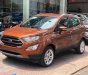 Ford EcoSport 2018 - Bán Ford Ecosport 2018, tặng bảo hiểm, phim, camera, vay 90% giao xe ngay