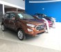 Ford EcoSport 2018 - Bán Ford Ecosport 2018, tặng bảo hiểm, phim, camera, vay 90% giao xe ngay