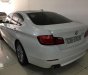 BMW 5 Series 523i 2010 - Bán xe BMW 5 Series 523i đời 2010, màu trắng, xe nhập 