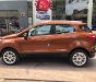 Ford EcoSport 2018 - Bán Ford Ecosport 2018, tặng bảo hiểm, phim, camera, vay 90% giao xe ngay