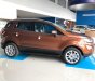 Ford EcoSport 2018 - Bán Ford Ecosport 2018, tặng bảo hiểm, phim, camera, vay 90% giao xe ngay